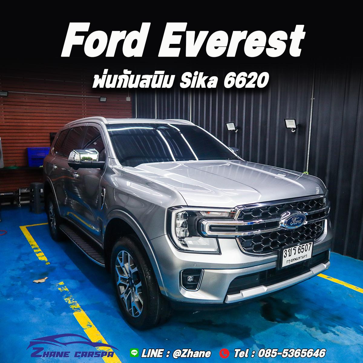 Ford Everest Protection